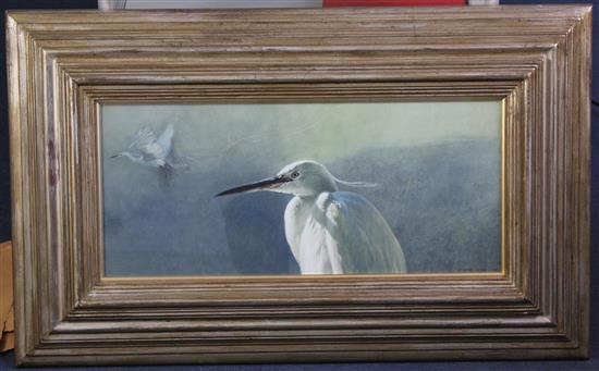 § Raymond Harris-Ching (b.1939) Two egrets, 10.5 x 23.5in.,